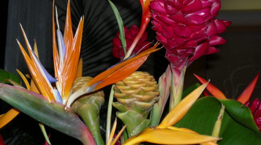 Matching Coach and Coachee Matching Coach and Coachee