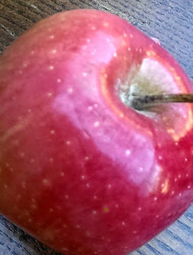 The Coach is a Student