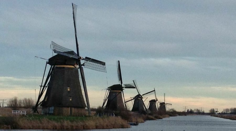 Language in Coaching