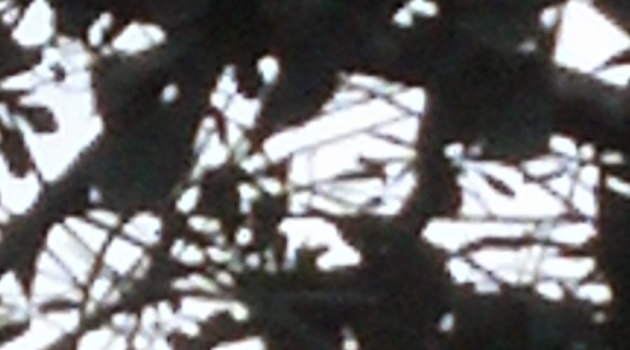 Coaching-Executives-During-Change Coaching Executives During Change