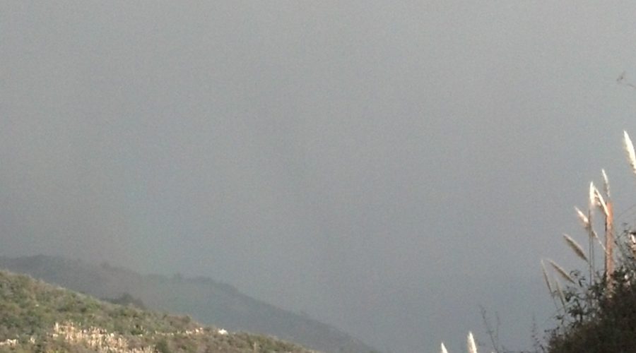 Decision Making for Executives