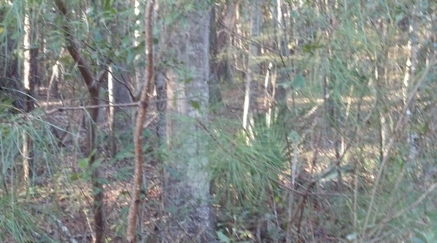 What Does It Mean To Be Present For A Client?