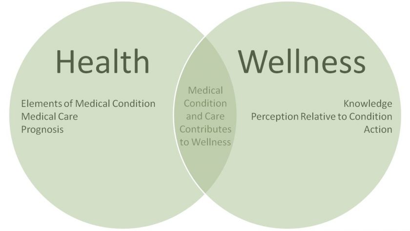 Difference Between Health and Wellness