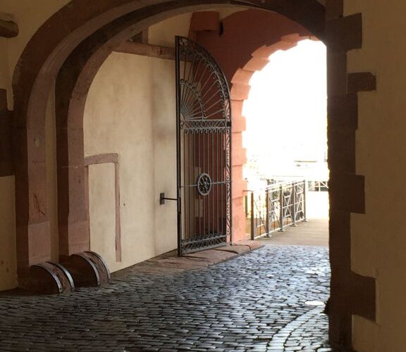 Book-Review-of-What-the-CEO-Wants-You-to-Know:How-Your-Company-Really-Works-by-Ram-Charan Book Review of What the CEO Wants You to Know: How Your Company Really Works by Ram Charan