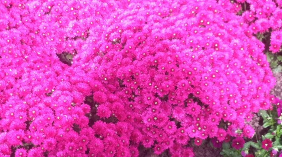 Coaching-Journey:Engaging-in-Coaching Coaching Journey: Engaging in Coaching