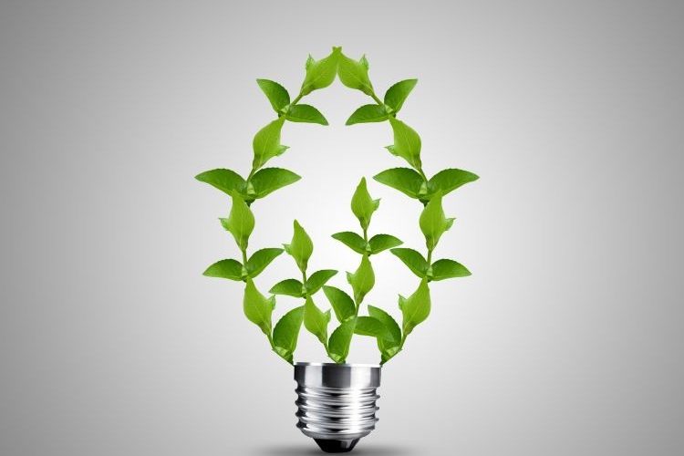 What about all the different coaching models?