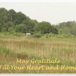 may gratitude fill your heart and home