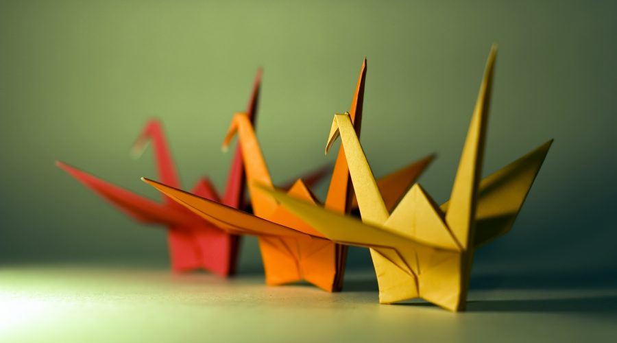 Coaching and a Coaching Culture Differentiated