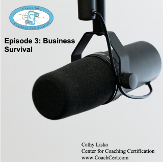 Episode 3 - Business Survival.jpg